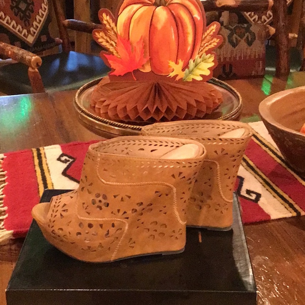 Super Cute Liliana Wedge Slip On Sandal